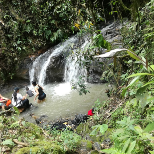 Campamento Cascadas del Chupal – Manai