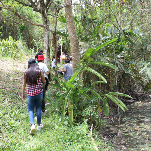 Ruta de la Panela
