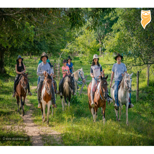Aventura Llanera - Misión Delta