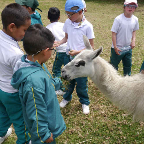 Limbalú
